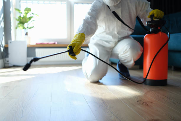 Reliable Biohazard Cleanup contractor in Tate, GA by Dulley Family Biohazard Services